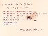  ( - UMMZI-MOS0029410)  @11 [ ] c (2021) Jose Andres Cornell Univeristy- Department of Ecology and Evolutionary Biology