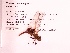  ( - UMMZI-MOS0030153)  @11 [ ] c (2021) Jose Andres Cornell Univeristy- Department of Ecology and Evolutionary Biology