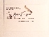 ( - UMMZI-MOS0030536)  @11 [ ] c (2021) Jose Andres Cornell Univeristy- Department of Ecology and Evolutionary Biology