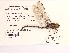  ( - UMMZI-MOS0036009)  @11 [ ] c (2021) Jose Andres Cornell Univeristy- Department of Ecology and Evolutionary Biology