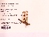  ( - UMMZI-MOS0036054)  @11 [ ] c (2021) Jose Andres Cornell Univeristy- Department of Ecology and Evolutionary Biology