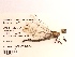  ( - UMMZI-MOS0036071)  @11 [ ] c (2021) Jose Andres Cornell Univeristy- Department of Ecology and Evolutionary Biology