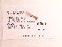  ( - UMMZI-MOS0036436)  @11 [ ] c (2021) Jose Andres Cornell Univeristy- Department of Ecology and Evolutionary Biology