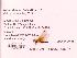  ( - UMMZI-MOS0036557)  @11 [ ] c (2021) Jose Andres Cornell Univeristy- Department of Ecology and Evolutionary Biology