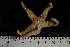  ( - JR275_10.1)  @12 [ ] CreativeCommons - Attribution Non-Commercial Share-Alike (2012) Huw Griffiths British Antarctic Survey