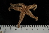  ( - JR275_10.1)  @12 [ ] CreativeCommons - Attribution Non-Commercial Share-Alike (2012) Huw Griffiths British Antarctic Survey