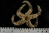  ( - JR275_227.4)  @12 [ ] CreativeCommons - Attribution Non-Commercial Share-Alike (2012) Huw Griffiths British Antarctic Survey