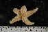  ( - JR275_1240.1)  @12 [ ] CreativeCommons - Attribution Non-Commercial Share-Alike (2012) Huw Griffiths British Antarctic Survey