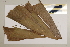  (Normanbayi - CNS_CC_6077_D2)  @11 [ ] Copyright (2010) Australia Tropical Herbarium CSIRO, Queensland Government and James Cook University
