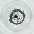  ( - BAYS_001_B10)  @11 [ ] by  Genome Research Ltd as Wellcome Sanger Institute Genome Research Limited operating as Wellcome Sanger Institute