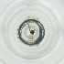  ( - BAYS_001_C11)  @11 [ ] by  Genome Research Ltd as Wellcome Sanger Institute Genome Research Limited operating as Wellcome Sanger Institute