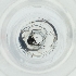  ( - BAYS_001_C12)  @11 [ ] by  Genome Research Ltd as Wellcome Sanger Institute Genome Research Limited operating as Wellcome Sanger Institute