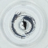  ( - BAYS_003_A5)  @11 [ ] by  Genome Research Ltd as Wellcome Sanger Institute Genome Research Limited operating as Wellcome Sanger Institute