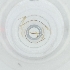  ( - BAYS_004_D12)  @11 [ ] by  Genome Research Ltd as Wellcome Sanger Institute Genome Research Limited operating as Wellcome Sanger Institute