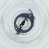  ( - BAYS_004_E6)  @11 [ ] by  Genome Research Ltd as Wellcome Sanger Institute Genome Research Limited operating as Wellcome Sanger Institute