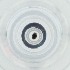  ( - BAYS_005_D10)  @11 [ ] by  Genome Research Ltd as Wellcome Sanger Institute Genome Research Limited operating as Wellcome Sanger Institute
