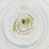 ( - BAYS_005_D5)  @11 [ ] by  Genome Research Ltd as Wellcome Sanger Institute Genome Research Limited operating as Wellcome Sanger Institute