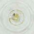  ( - BAYS_005_E5)  @11 [ ] by  Genome Research Ltd as Wellcome Sanger Institute Genome Research Limited operating as Wellcome Sanger Institute
