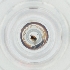  ( - BAYS_005_F8)  @11 [ ] by  Genome Research Ltd as Wellcome Sanger Institute Genome Research Limited operating as Wellcome Sanger Institute