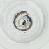  ( - BAYS_006_A11)  @11 [ ] by  Genome Research Ltd as Wellcome Sanger Institute Genome Research Limited operating as Wellcome Sanger Institute
