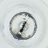  ( - BAYS_009_A2)  @11 [ ] by  Genome Research Ltd as Wellcome Sanger Institute Genome Research Limited operating as Wellcome Sanger Institute