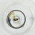  ( - BAYS_009_H2)  @11 [ ] by  Genome Research Ltd as Wellcome Sanger Institute Genome Research Limited operating as Wellcome Sanger Institute