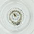  ( - BAYS_010_B2)  @11 [ ] by  Genome Research Ltd as Wellcome Sanger Institute Genome Research Limited operating as Wellcome Sanger Institute