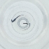  ( - BAYS_010_C10)  @11 [ ] by  Genome Research Ltd as Wellcome Sanger Institute Genome Research Limited operating as Wellcome Sanger Institute
