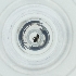  ( - BAYS_010_C5)  @11 [ ] by  Genome Research Ltd as Wellcome Sanger Institute Genome Research Limited operating as Wellcome Sanger Institute
