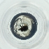 ( - BAYS_011_H4)  @11 [ ] by  Genome Research Ltd as Wellcome Sanger Institute Genome Research Limited operating as Wellcome Sanger Institute