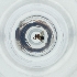  ( - BAYS_012_C2)  @11 [ ] by  Genome Research Ltd as Wellcome Sanger Institute Genome Research Limited operating as Wellcome Sanger Institute