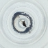  ( - BAYS_012_C4)  @11 [ ] by  Genome Research Ltd as Wellcome Sanger Institute Genome Research Limited operating as Wellcome Sanger Institute