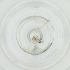  ( - BAYS_015_D8)  @11 [ ] by  Genome Research Ltd as Wellcome Sanger Institute Genome Research Limited operating as Wellcome Sanger Institute