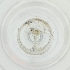  ( - BAYS_015_E9)  @11 [ ] by  Genome Research Ltd as Wellcome Sanger Institute Genome Research Limited operating as Wellcome Sanger Institute