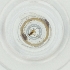  ( - BAYS_016_B8)  @11 [ ] by  Genome Research Ltd as Wellcome Sanger Institute Genome Research Limited operating as Wellcome Sanger Institute