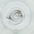  ( - BAYS_016_D1)  @11 [ ] by  Genome Research Ltd as Wellcome Sanger Institute Genome Research Limited operating as Wellcome Sanger Institute