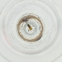  ( - BAYS_016_D10)  @11 [ ] by  Genome Research Ltd as Wellcome Sanger Institute Genome Research Limited operating as Wellcome Sanger Institute