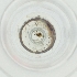  ( - BAYS_016_E9)  @11 [ ] by  Genome Research Ltd as Wellcome Sanger Institute Genome Research Limited operating as Wellcome Sanger Institute
