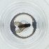  ( - BAYS_017_B4)  @11 [ ] by  Genome Research Ltd as Wellcome Sanger Institute Genome Research Limited operating as Wellcome Sanger Institute