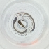  ( - BAYS_018_H10)  @11 [ ] by  Genome Research Ltd as Wellcome Sanger Institute Genome Research Limited operating as Wellcome Sanger Institute
