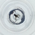  ( - BAYS_020_C4)  @11 [ ] by  Genome Research Ltd as Wellcome Sanger Institute Genome Research Limited operating as Wellcome Sanger Institute