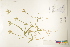  ( - CCDB-25848-A04)  @11 [ ] CreativeCommons - Attribution (2019) CBG Photography Group Centre for Biodiversity Genomics