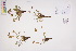  ( - CCDB-34695-A02)  @11 [ ] CreativeCommons - Attribution (2019) CBG Photography Group Centre for Biodiversity Genomics