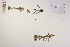  ( - CCDB-34695-D01)  @11 [ ] CreativeCommons - Attribution (2019) CBG Photography Group Centre for Biodiversity Genomics