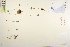  ( - CCDB-34695-H12)  @11 [ ] CreativeCommons - Attribution (2019) CBG Photography Group Centre for Biodiversity Genomics