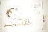  ( - CCDB-34696-A05)  @11 [ ] CreativeCommons - Attribution (2019) CBG Photography Group Centre for Biodiversity Genomics