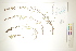  ( - CCDB-34696-B12)  @11 [ ] CreativeCommons - Attribution (2019) CBG Photography Group Centre for Biodiversity Genomics