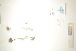  ( - CCDB-34696-C10)  @11 [ ] CreativeCommons - Attribution (2019) CBG Photography Group Centre for Biodiversity Genomics
