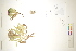  ( - CCDB-34696-C12)  @11 [ ] CreativeCommons - Attribution (2019) CBG Photography Group Centre for Biodiversity Genomics