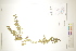  ( - CCDB-34696-D06)  @11 [ ] CreativeCommons - Attribution (2019) CBG Photography Group Centre for Biodiversity Genomics